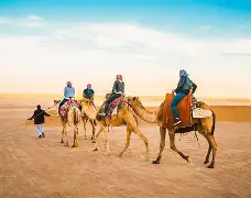 中东劲旅怒刷赛场，胜者雄踞神坛