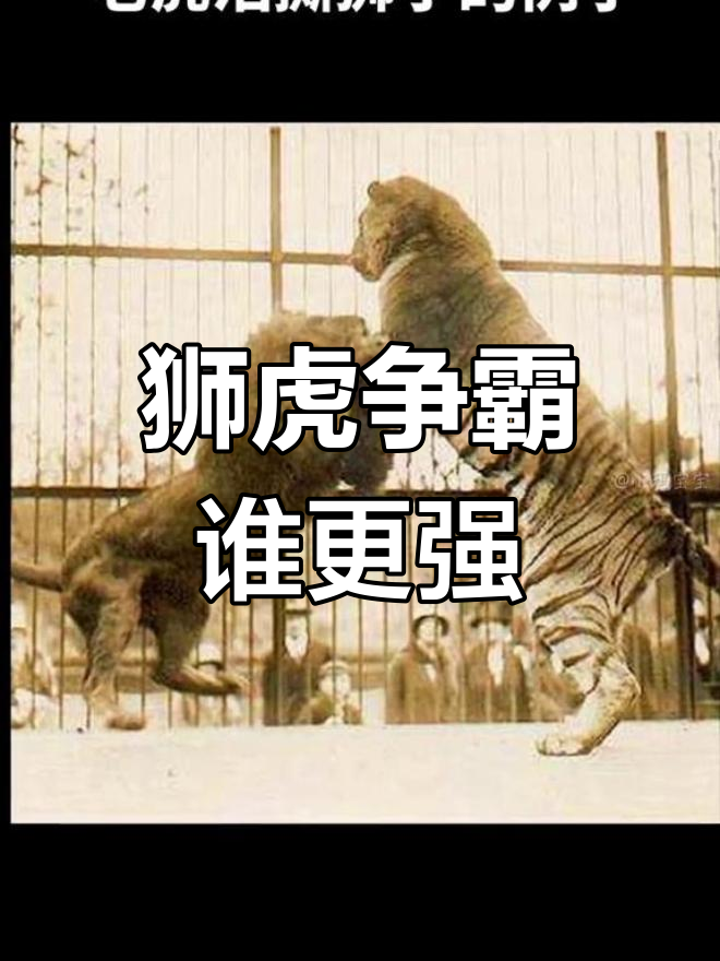 紧张角逐，巅峰对决胜负难定